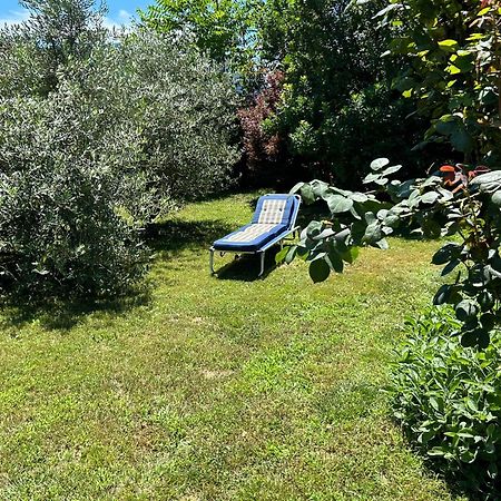 Golden Hill - Big Rooms With Kitchen And Garden Collina d'Oro Extérieur photo