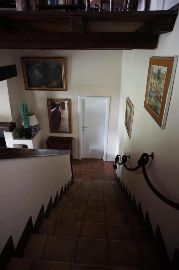 Golden Hill - Big Rooms With Kitchen And Garden Collina d'Oro Extérieur photo