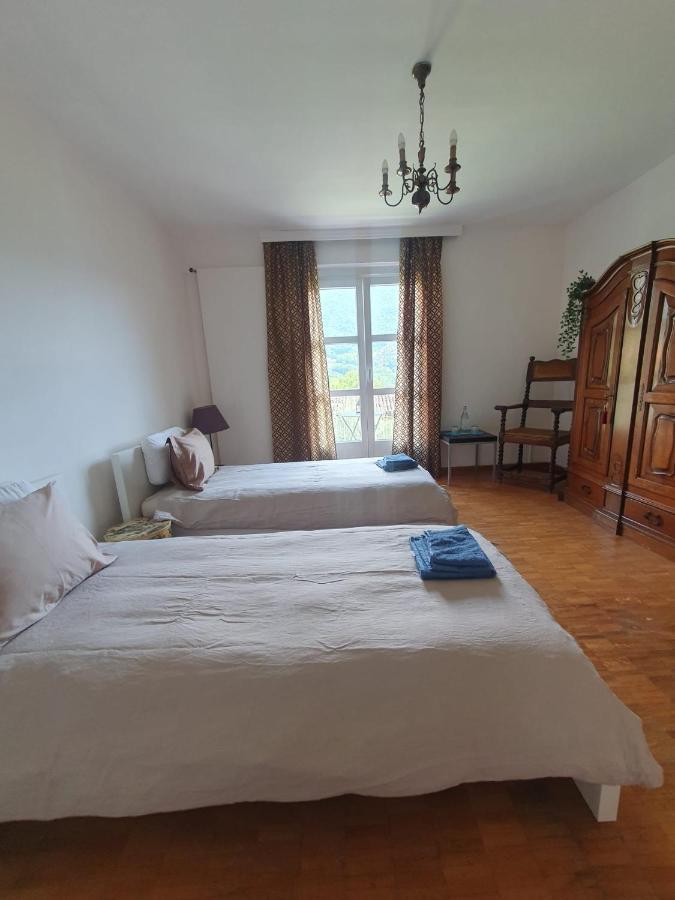 Golden Hill - Big Rooms With Kitchen And Garden Collina d'Oro Extérieur photo