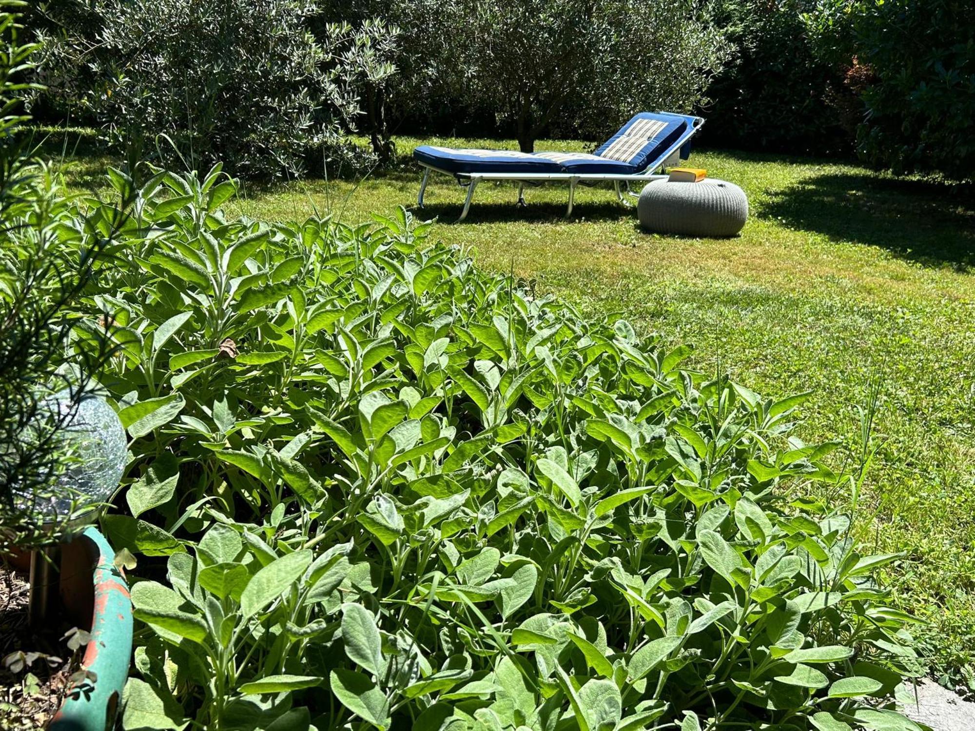 Golden Hill - Big Rooms With Kitchen And Garden Collina d'Oro Extérieur photo